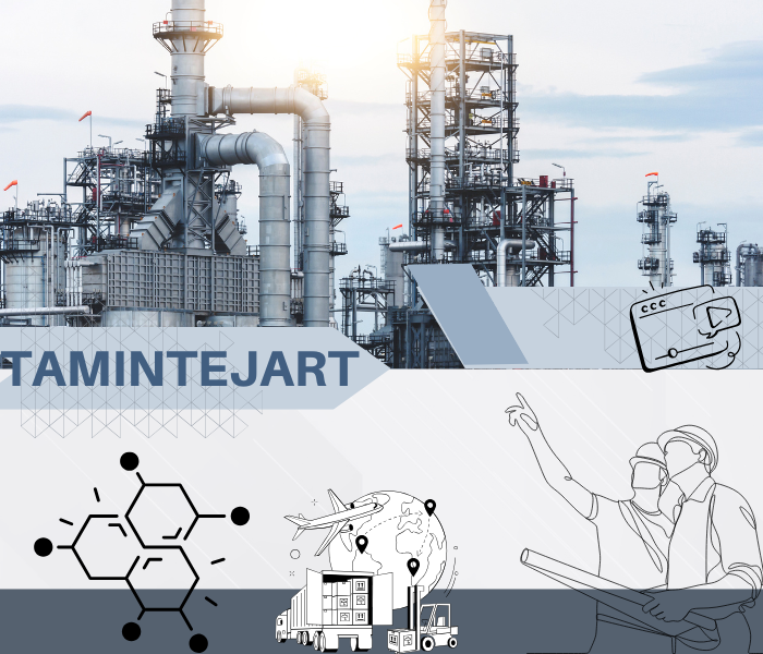 tamintejart.com